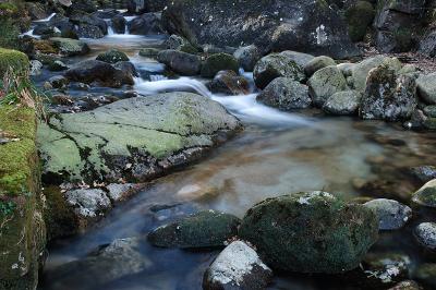 g3/69/576069/3/54239831.DSC_2041.jpg