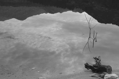 g3/69/576069/3/54525600.Reflexos01.jpg