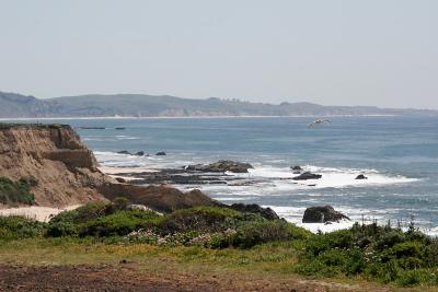 _MG_2382.jpg