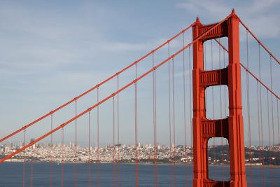 _MG_2420.jpg