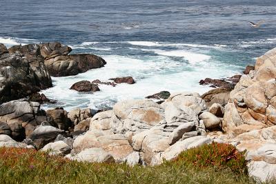 _MG_2472.jpg