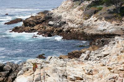_MG_2474.jpg