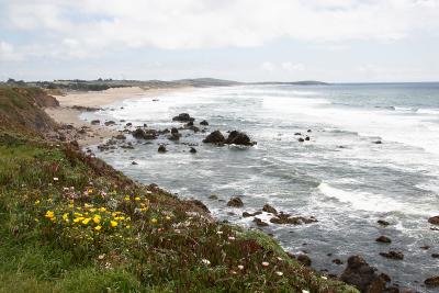 _MG_2620.jpg