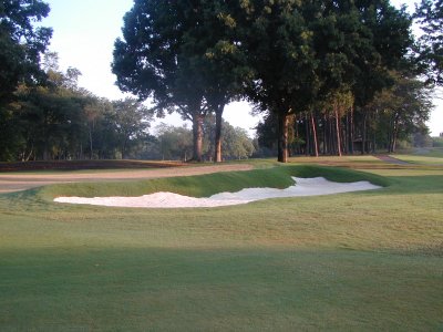 #5 Green