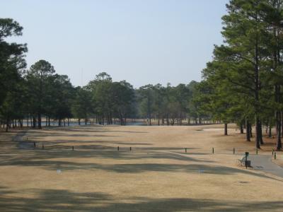 Tee Shot (Before)