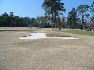 Left Greenside Bunker (Before)