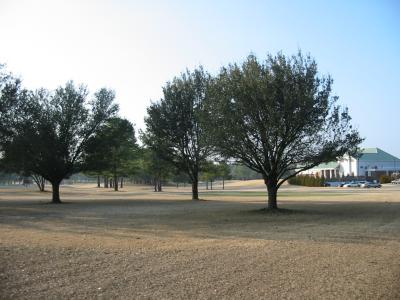 g3/69/608969/3/54734552.IMG_3980.jpg