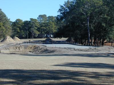 Green #8 Shaped with drainage layer