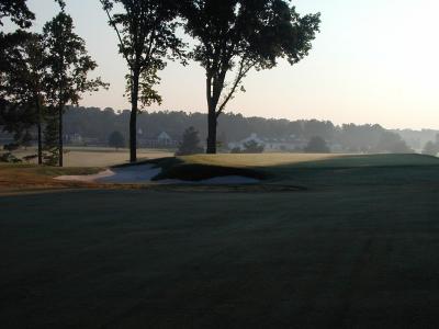 17 Green.jpg