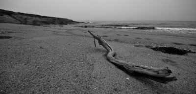 Bois d'pave sur la plage de Rivire-Pentecote