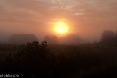 Dans la brume du matin_In the morning fog