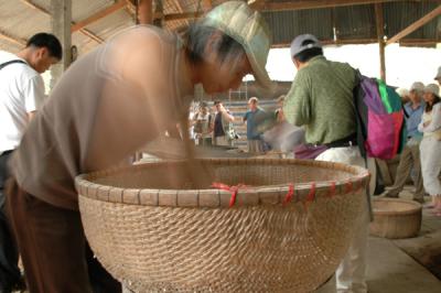 grading_rice_stalk.jpg