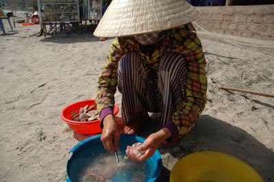 scallop_lady2.JPG