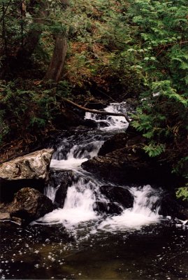 Aiguebelle park