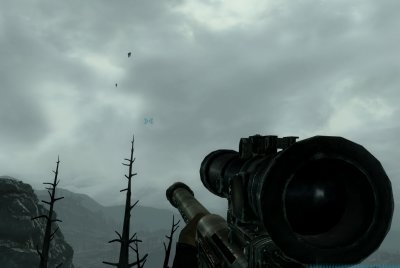 Look Up in the Sky