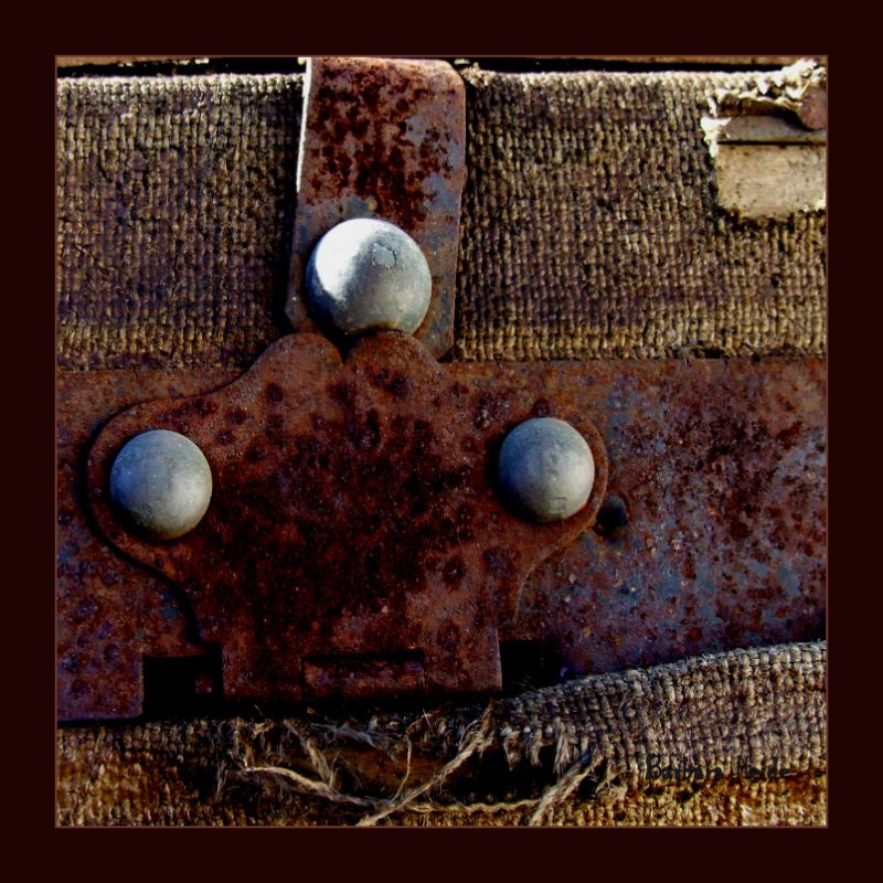 trunk detail