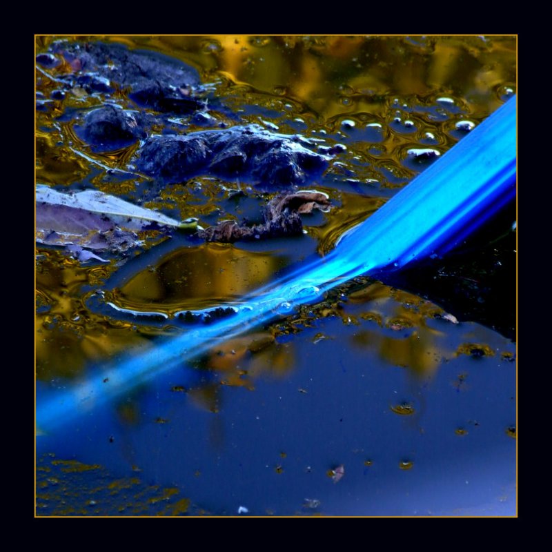 Frozen Gold