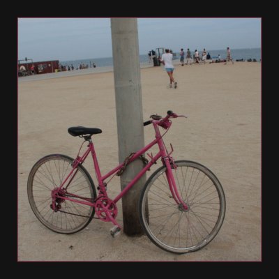 the pink bicycle