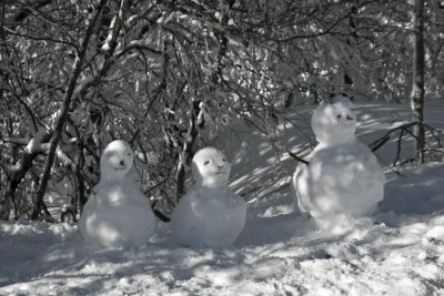 Snow Family