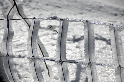 Iced Fence