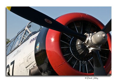 _DSC7412.jpg