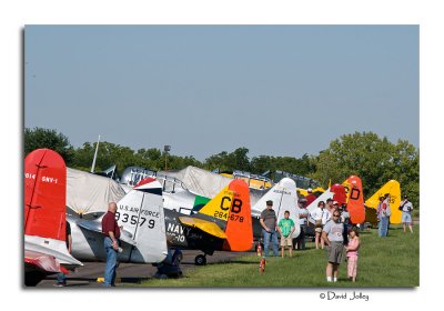 _DSC7464.jpg