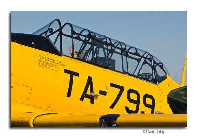 _DSC7479.jpg
