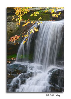 Brandywine Falls