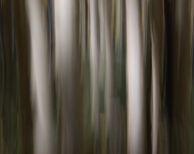 Aspen Abstract