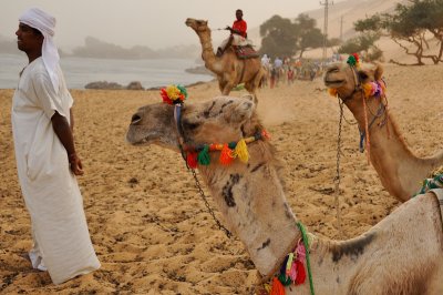 025 camel ride - Nubian Village.jpg