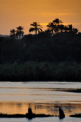 052 Sunset on the Nile.jpg