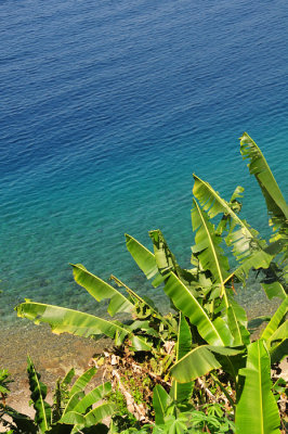 Pulau Ambon