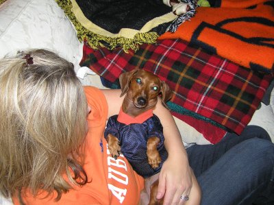 AUBURN TIGER DOG