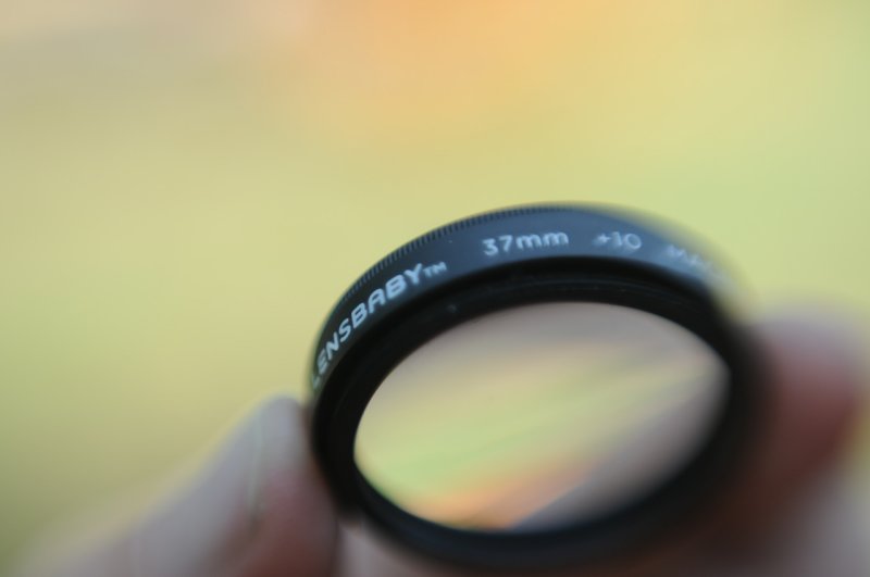lensbaby macro lens