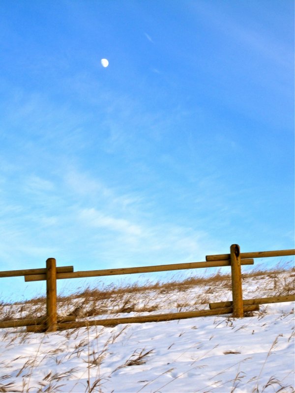 moon over horizon