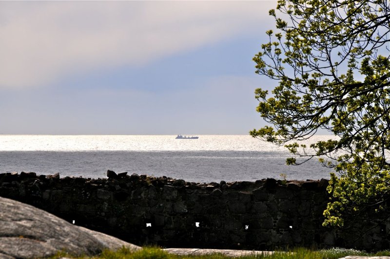 Reflections of Baltic Sea Freighter