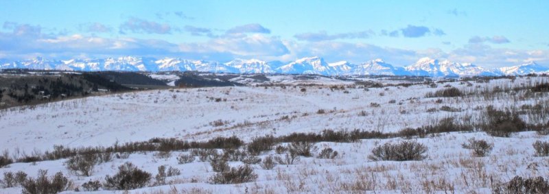 frosted white and blue