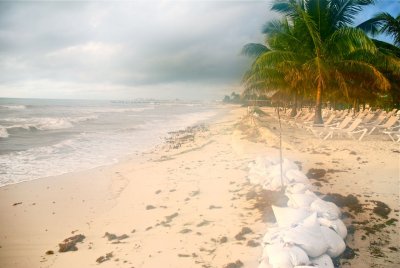 hurricane sand bags