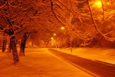 DSC_7022.JPG