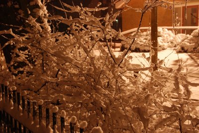 DSC_7052.JPG
