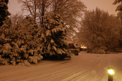 DSC_7089.JPG