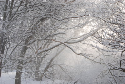 Birmingham in Snow