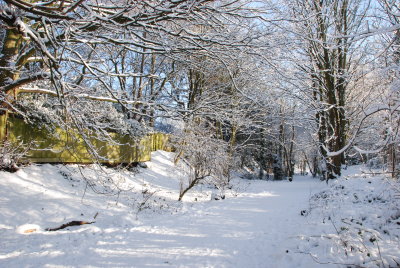 DSC_7284.JPG