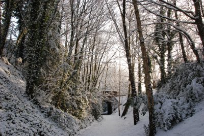 DSC_7335.JPG