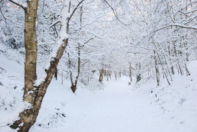 DSC_7395.JPG