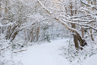DSC_7406.JPG