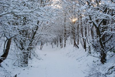 DSC_7407.JPG