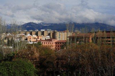DSC_6884.JPG
