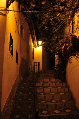 DSC_7014.JPG