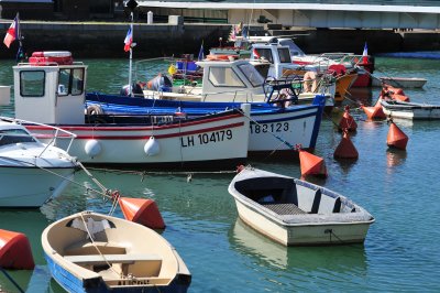 DSC_7086.JPG